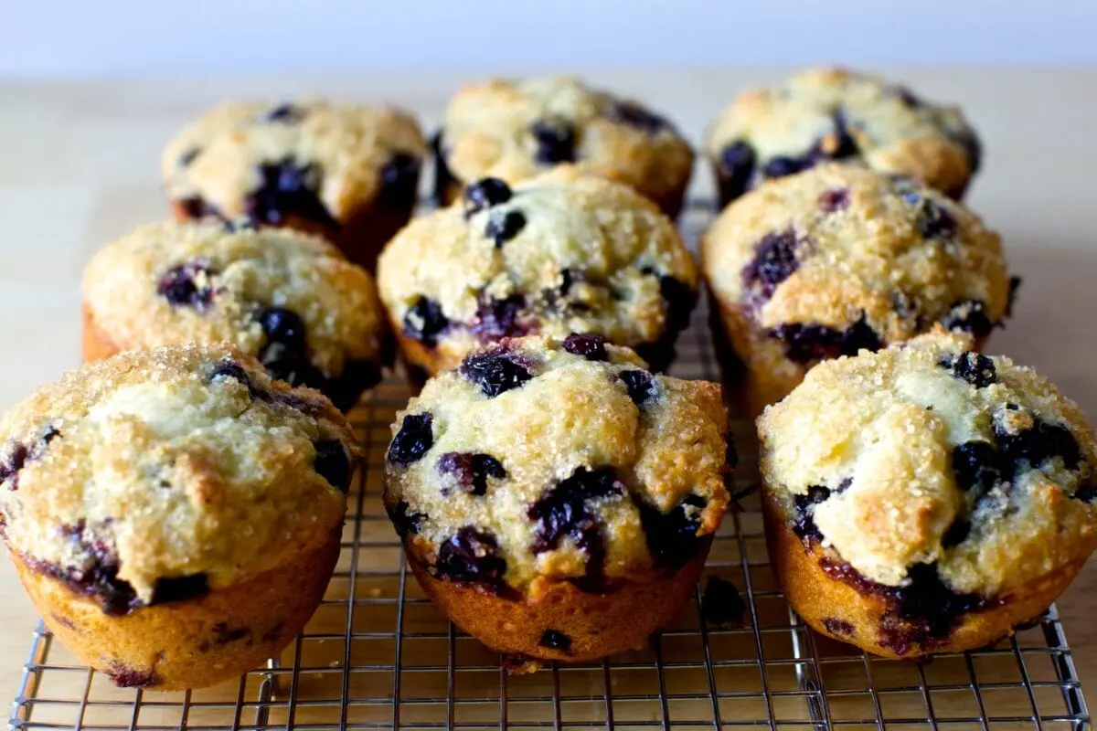 Calories Blueberry muffins, industrial made, (including mini-muffins). Chemical composition and nutritional value.