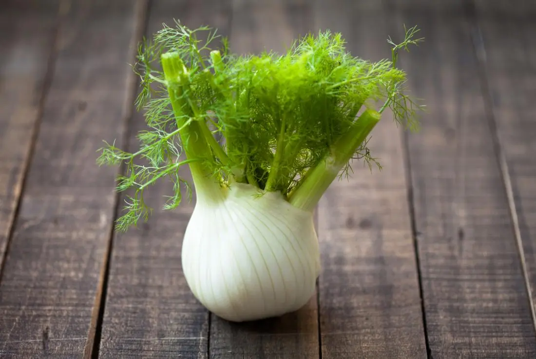 Calories Fennel (onion), raw. Chemical composition and nutritional value.