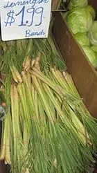 Calories Lemongrass (cymbopogon), raw. Chemical composition and nutritional value.