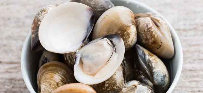 Calories Steamed bivalve clam. Chemical composition and nutritional value.