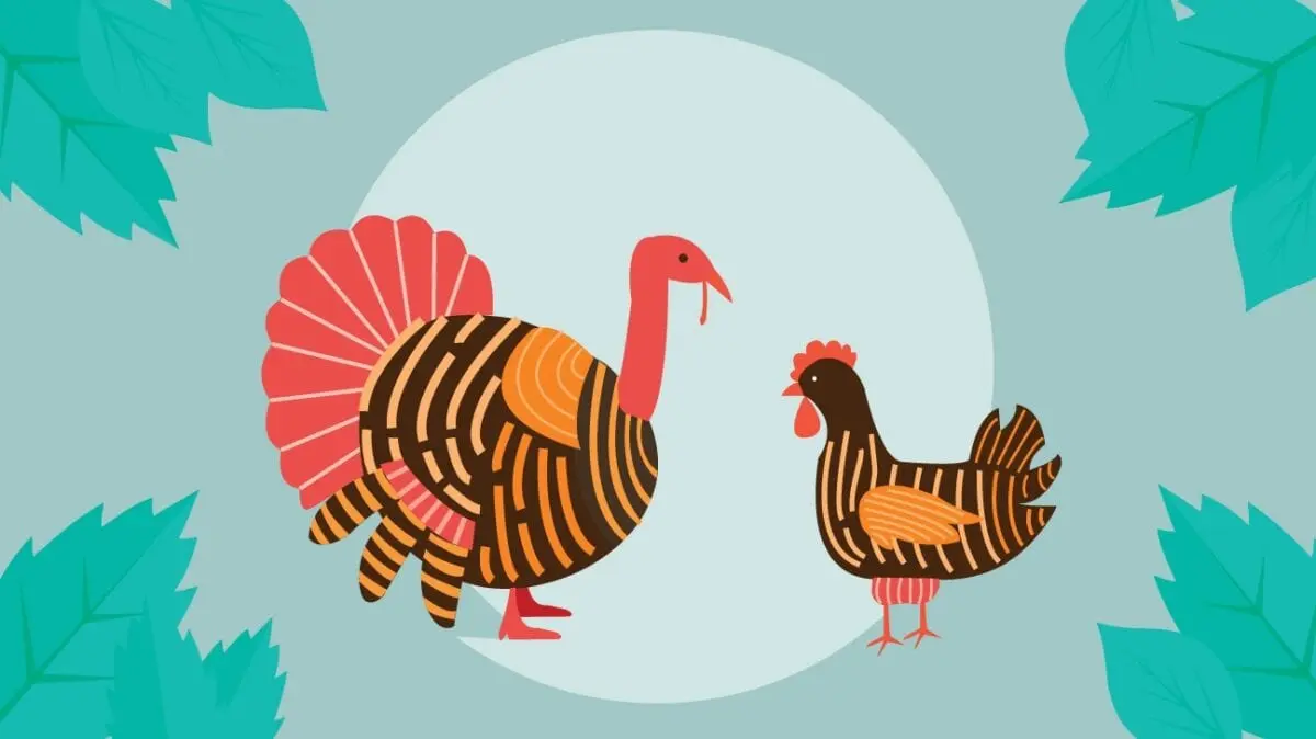 Calories Turkey, chickens, backs. Chemical composition and nutritional value.