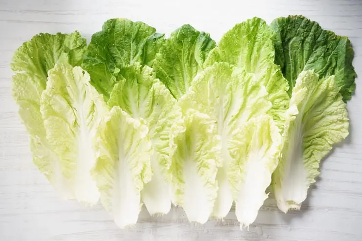 Why particularly is useful Chinese cabbage