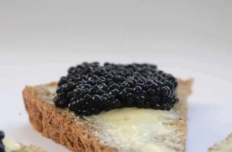 Choosing good caviar: good advice