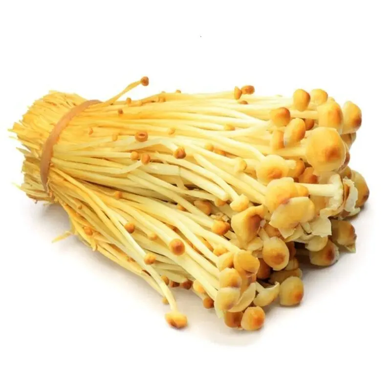 Enoki (Armillaria winter, enokitake), mushrooms