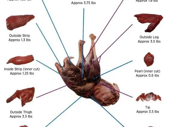 Fillet recipe. Calorie, chemical composition and nutritional value.