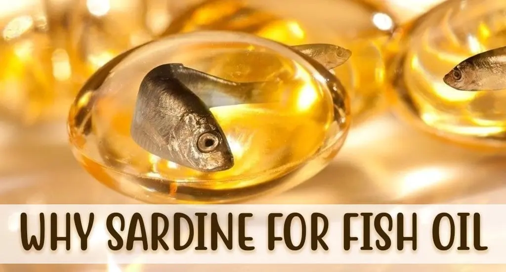 Fish oil, sardine