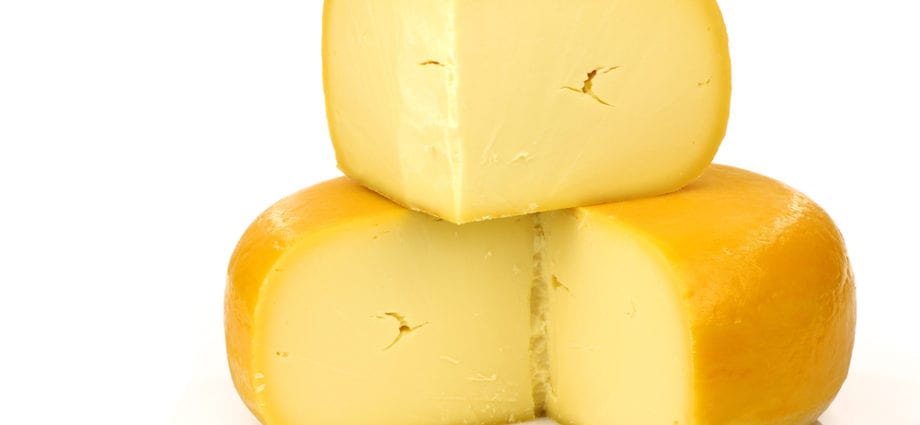 Djathë Gouda, djathë i fortë Hollandez, mdzh 47% i thatë në ve