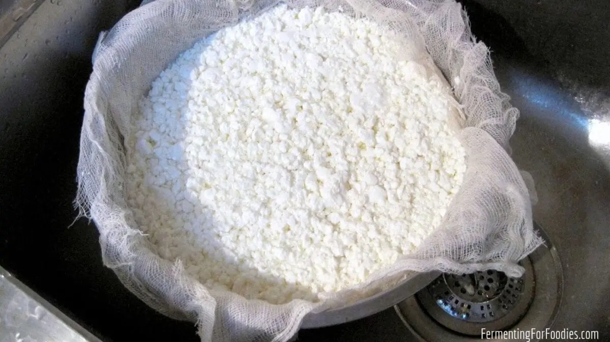 Homemade cheese and cottage cheese, 4% fat, unsalted, mdzh 16% dry in-ve