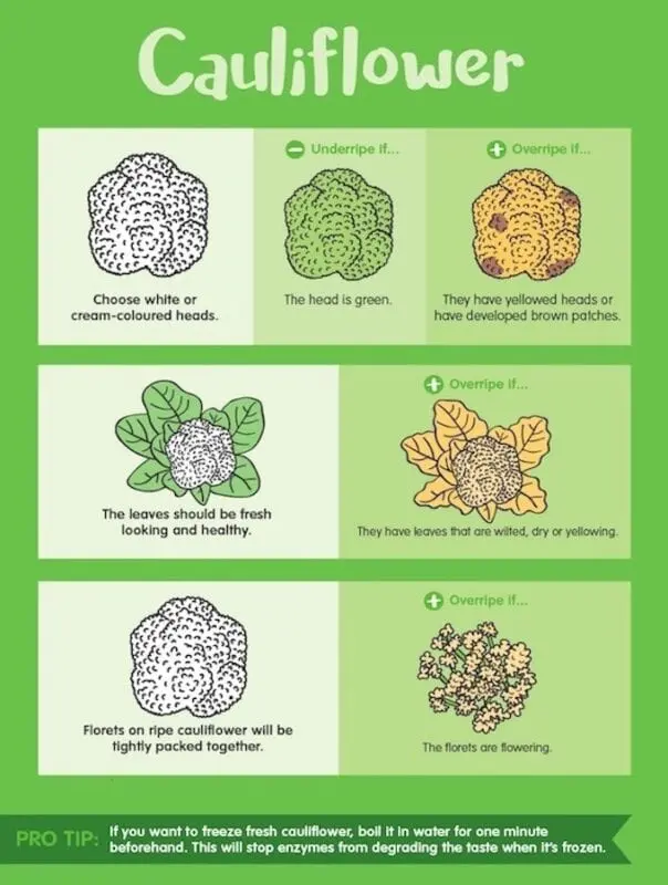 How to choose a cauliflower