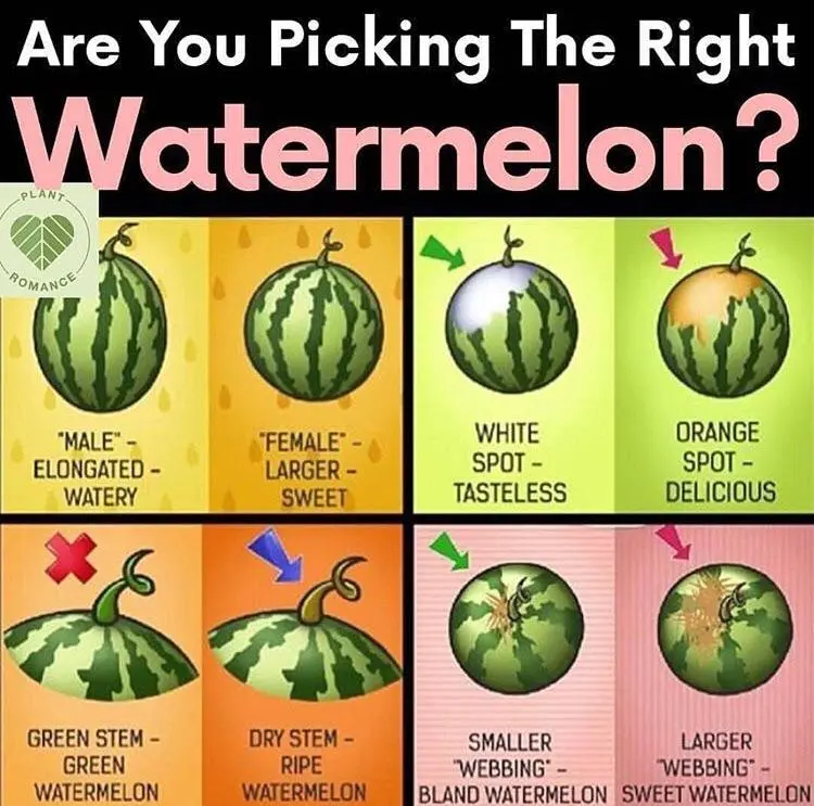 How to choose a delicious pineapple