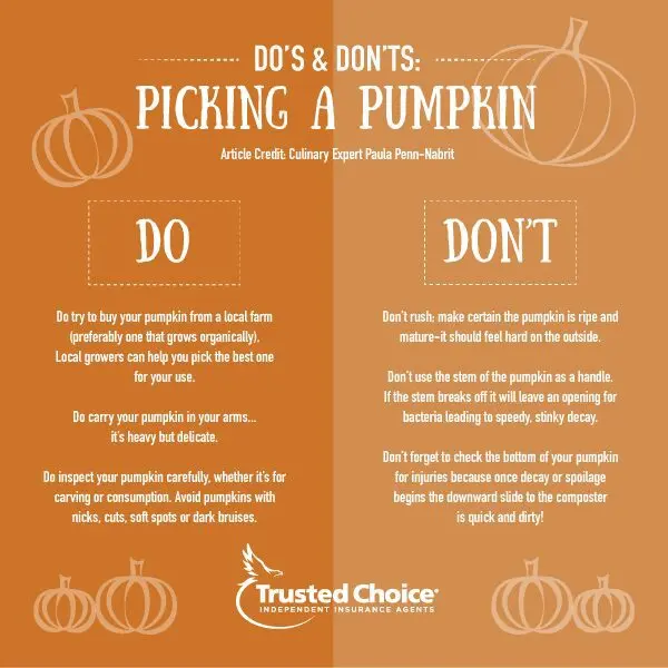 How to choose a pumpkin