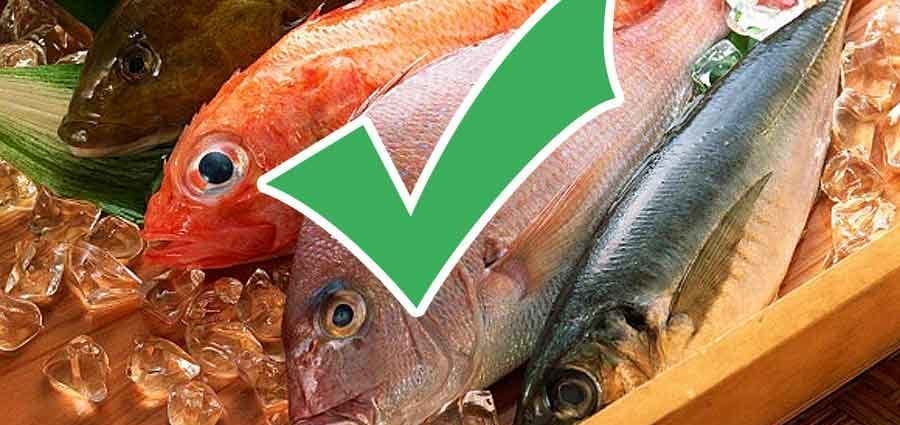 How to choose fresh fish
