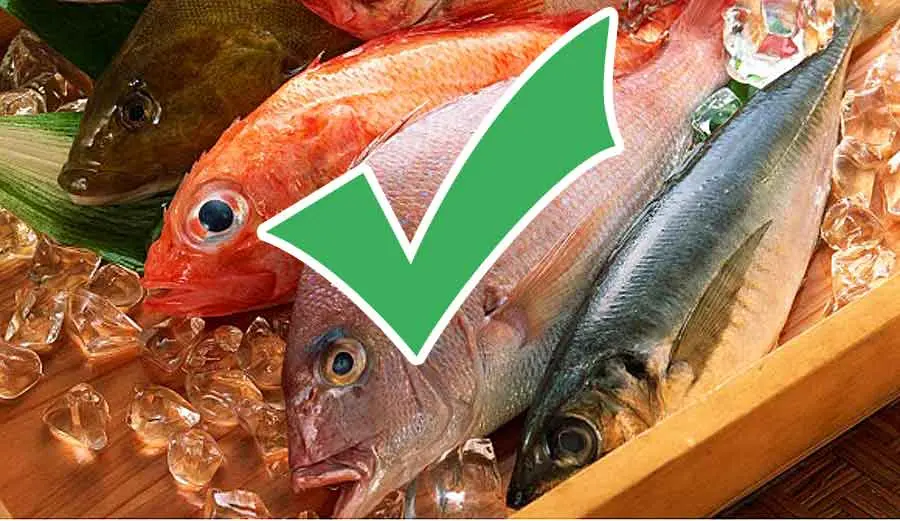 How to choose fresh fish