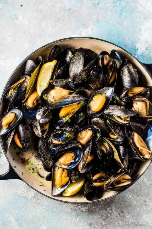 How to choose mussels so as not to be disappointed