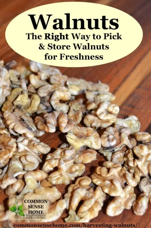 How to choose walnuts