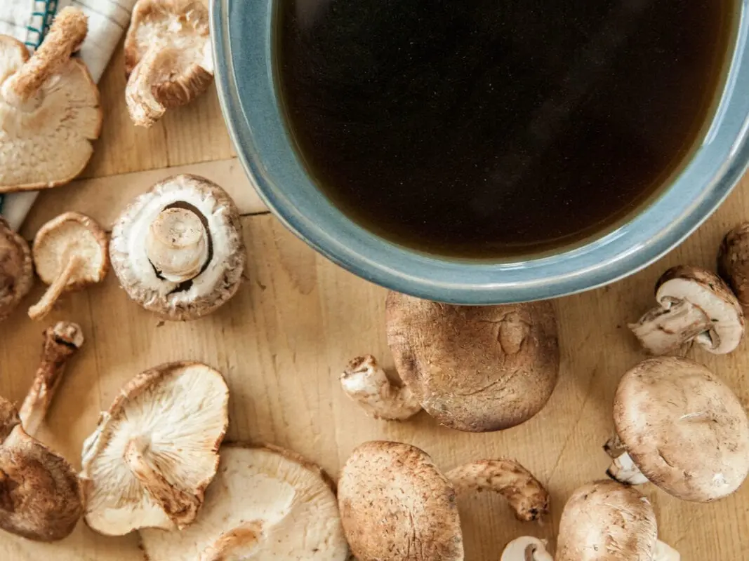 How to cook mushroom broth correctly