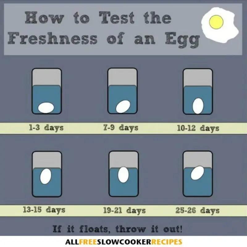 How to determine the freshness of eggs