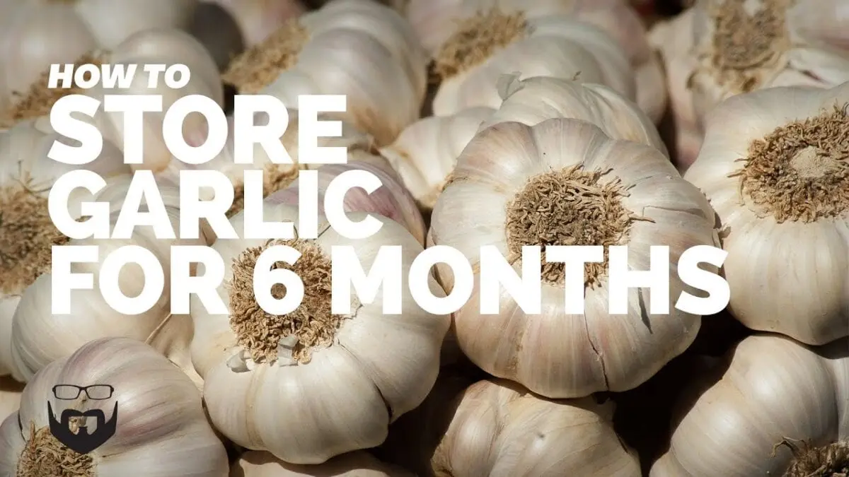How to store garlic properly