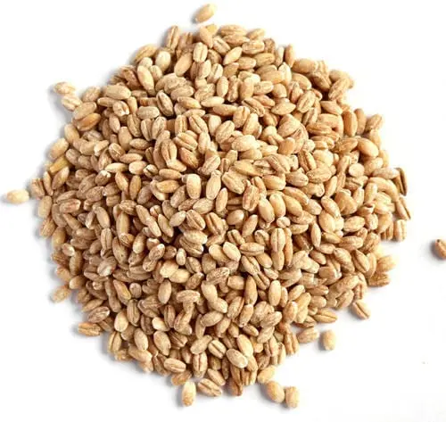 Hulled barley