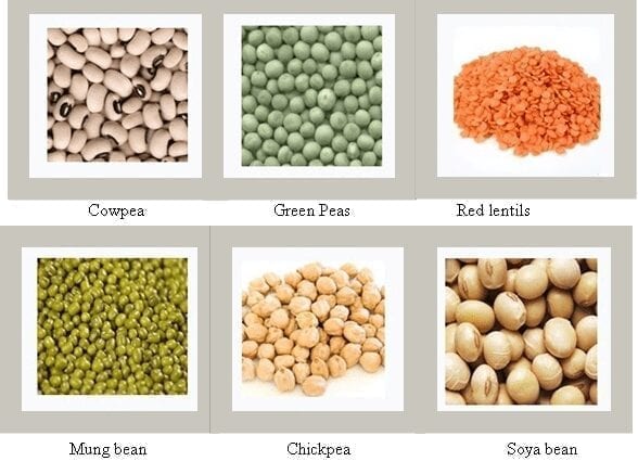 Husked Peas, cereals