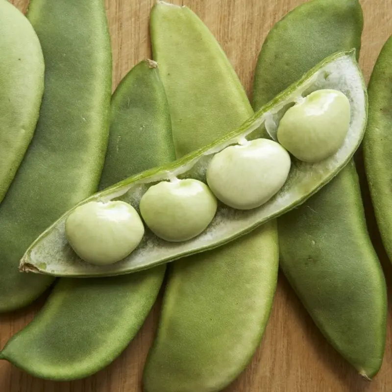 Lima beans, large, Mature