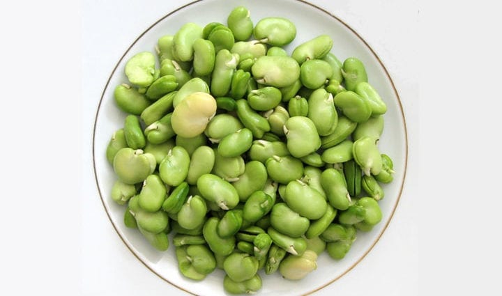 Lima beans, immature, cooked without salt