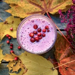 Lingonberry vrugte drink resep. Kalorie, chemiese samestelling en voedingswaarde.