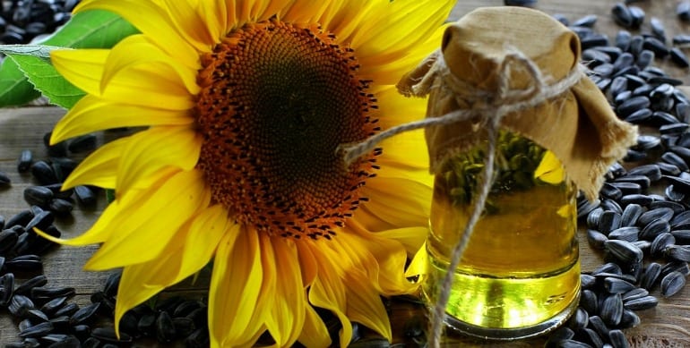 Olej słonecznikowy linolowy (około 65%)