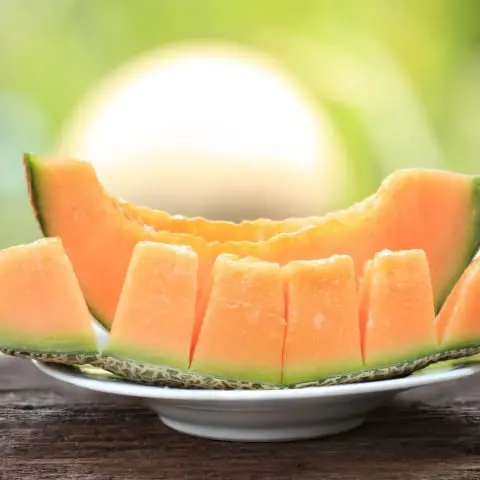 Melon