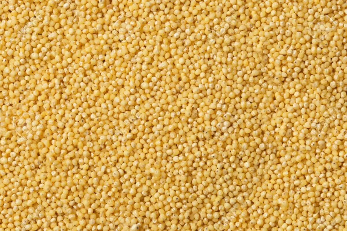 Millet, raw