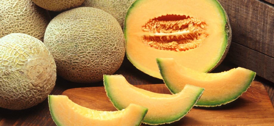 Original serving melon