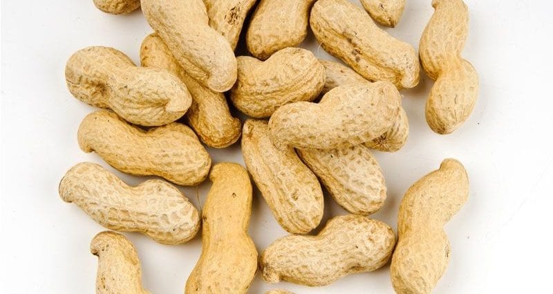 Peanuts