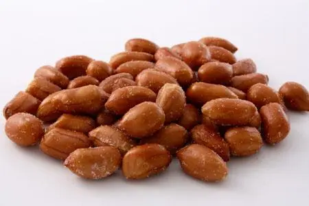 Peanuts, Spanish, oil-roasted, with salt