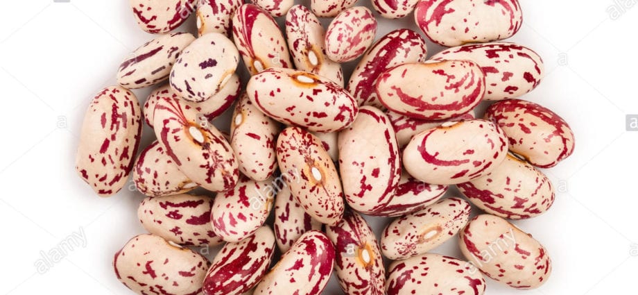 Pinto Beans (variegated), Mature, boiled, without salt