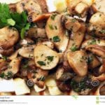 Mushrooms calories and nutrients