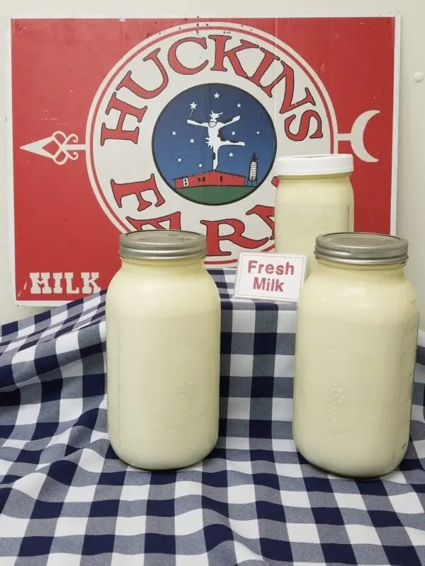 Raw cow&#8217;s milk, 3,7% fat, farm