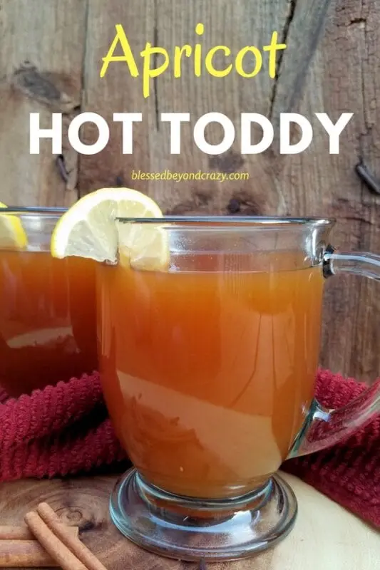 Recipe Hot apricot drink. Calorie, chemical composition and nutritional value.