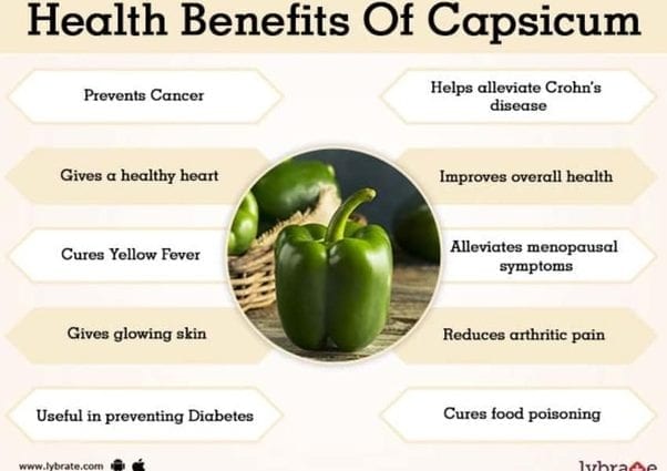 Recipe Stewed Capsicum. Calorie, chemical composition and nutritional value.