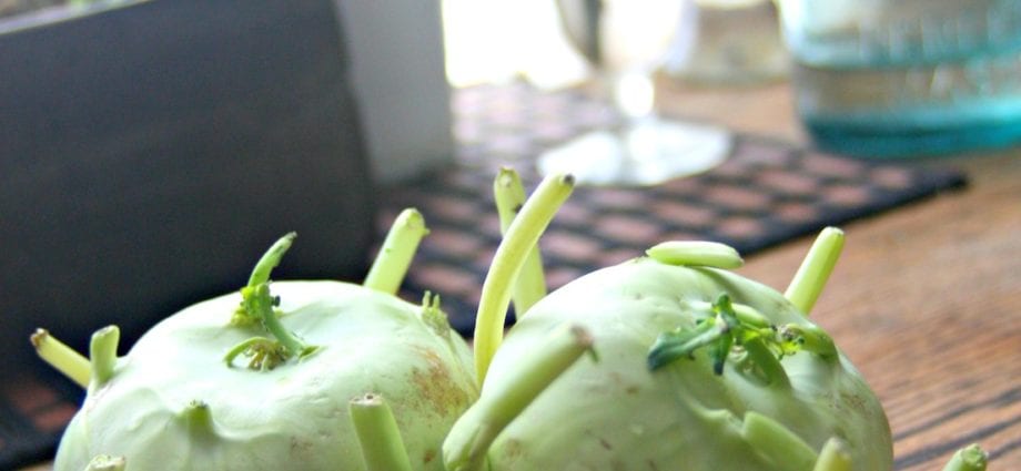 Recipe Stewed kohlrabi. Calorie, chemical composition and nutritional value.