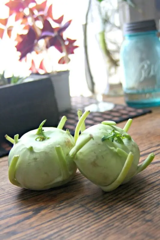 Recipe Stewed kohlrabi. Calorie, chemical composition and nutritional value.