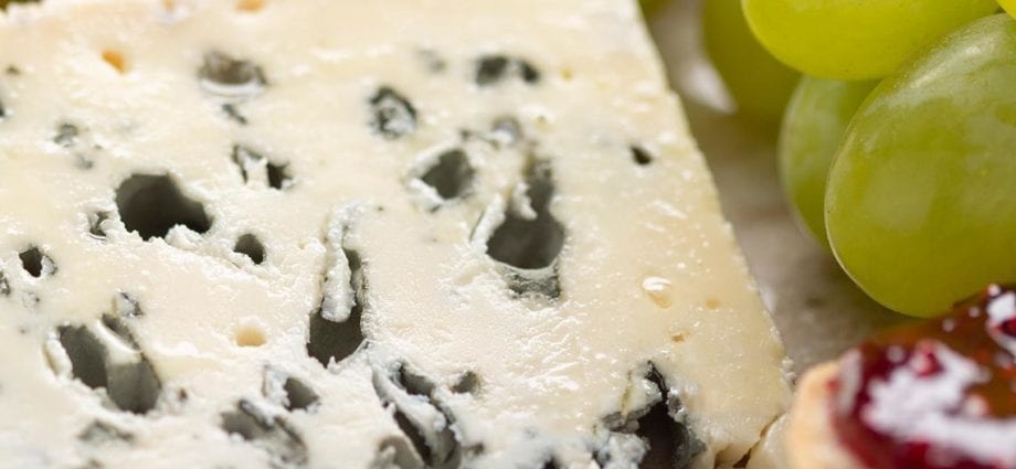 Roquefort cheese 30,6% fat, ppm 51% dry in-ve