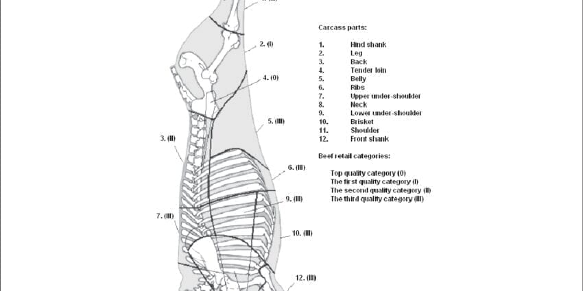 Selected category beef, carcass, meat with fat, raw