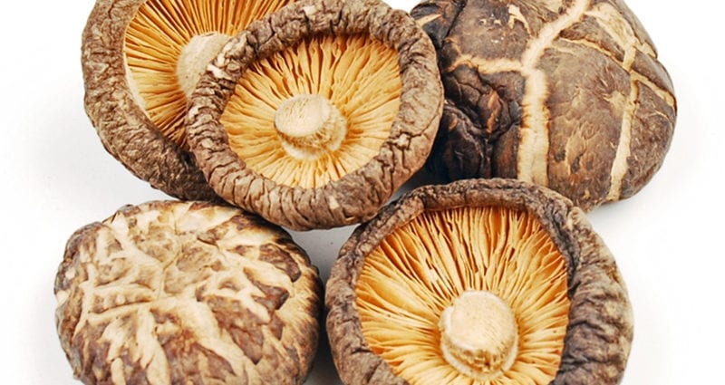 Houby shiitake, sušené houby