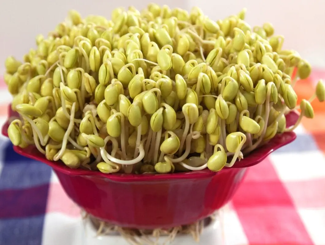 Soy beans, ripe sprouted seeds, raw