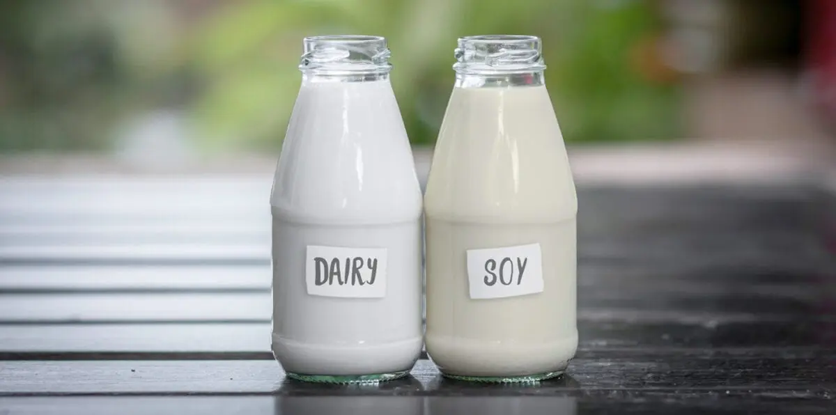 Soy milk, natural and vanilla, with extra calcium, vitamins A and D