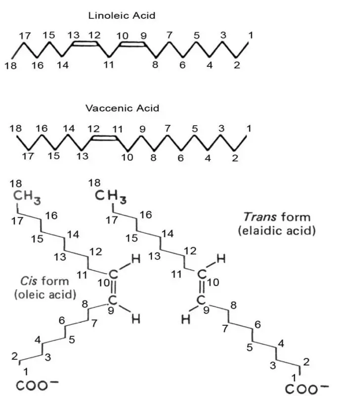 Soybean (partially hydrogenated) and cottonseed oils, blend