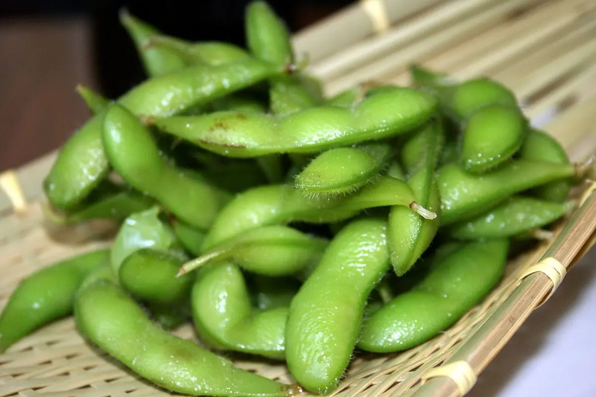 Soybeans, green