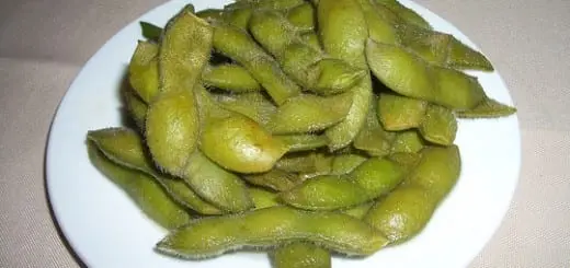 Soybeans, Mature seeds sprouted, steamed, with salt