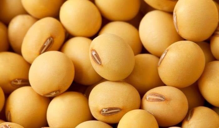 Soybeans, makua