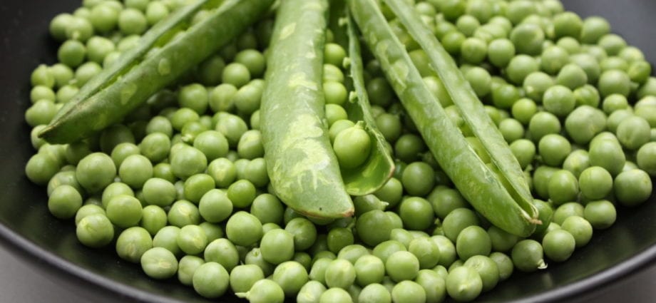 Peas boiled, 1-296